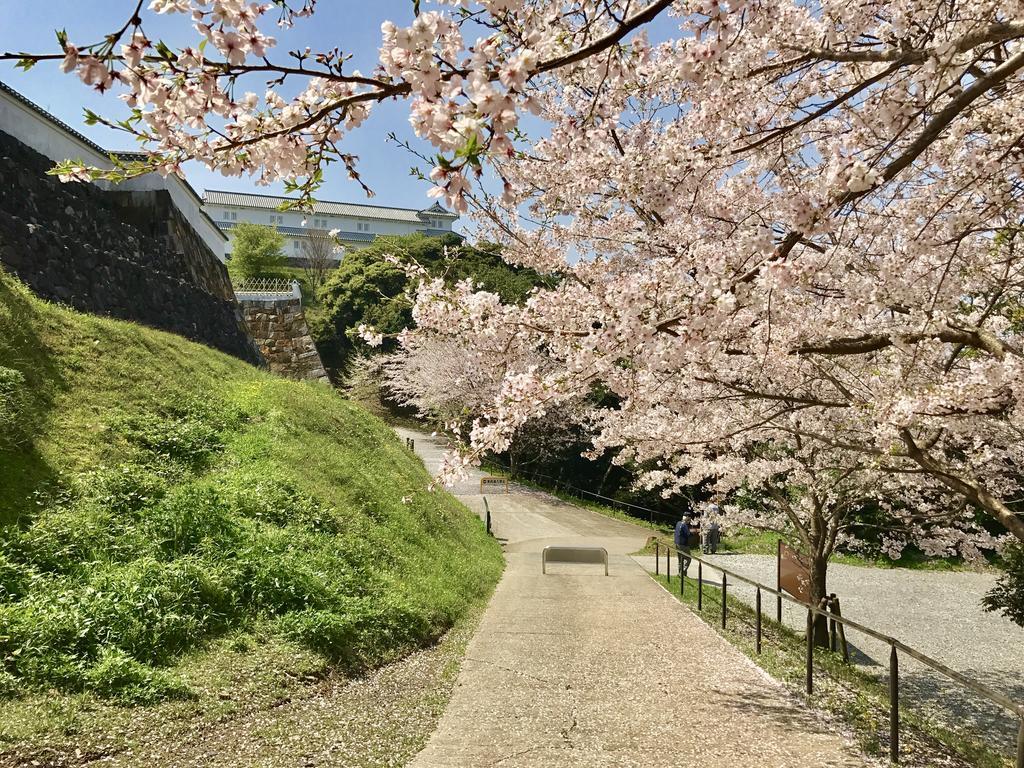 Minshuku Tairyoumaru Амакуса Экстерьер фото