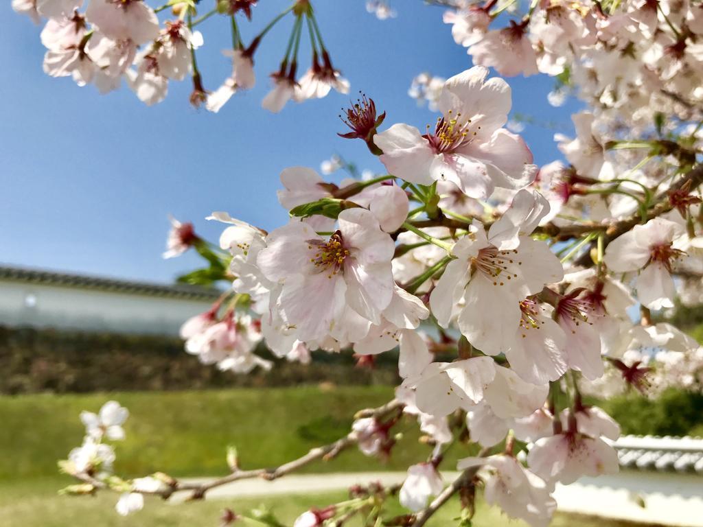Minshuku Tairyoumaru Амакуса Экстерьер фото