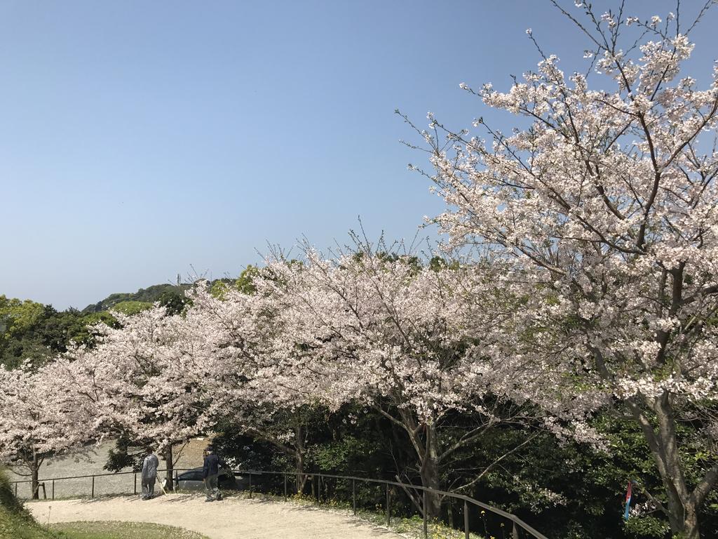 Minshuku Tairyoumaru Амакуса Экстерьер фото
